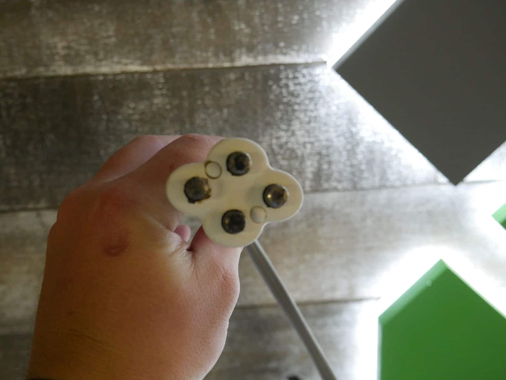 2011 Venus Freeze - image 11