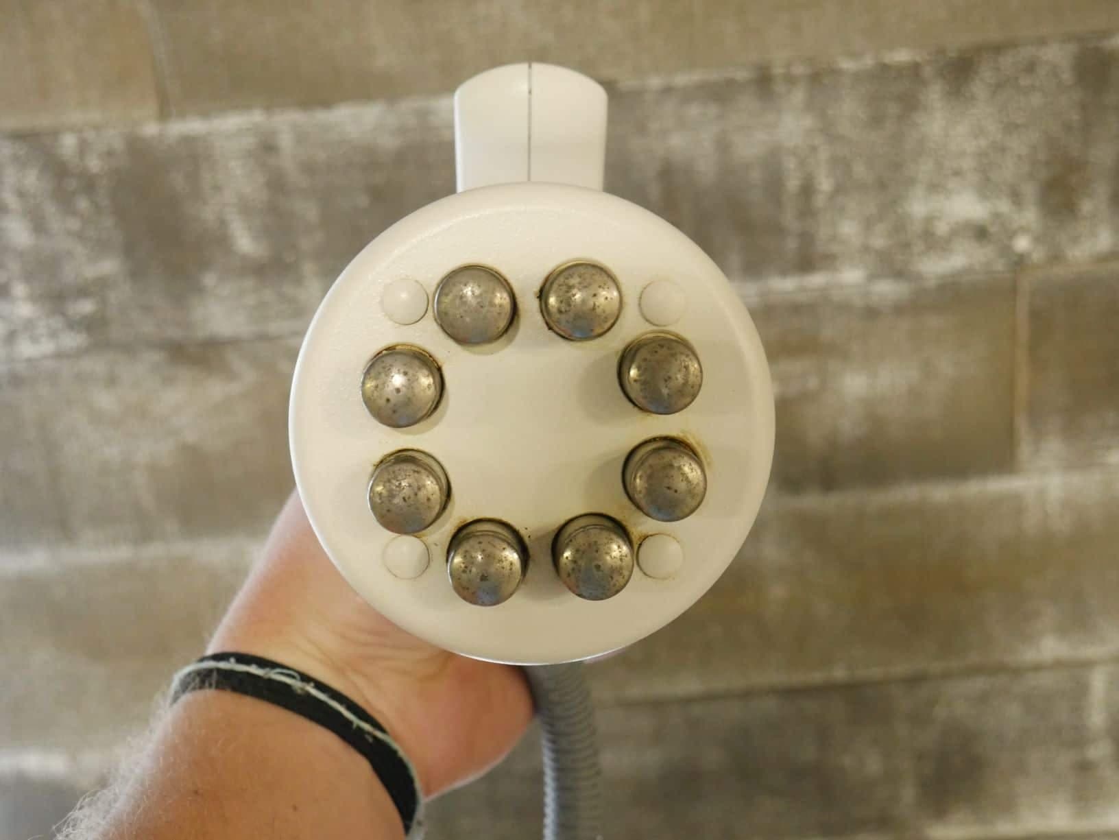 2011 Venus Freeze - image 7