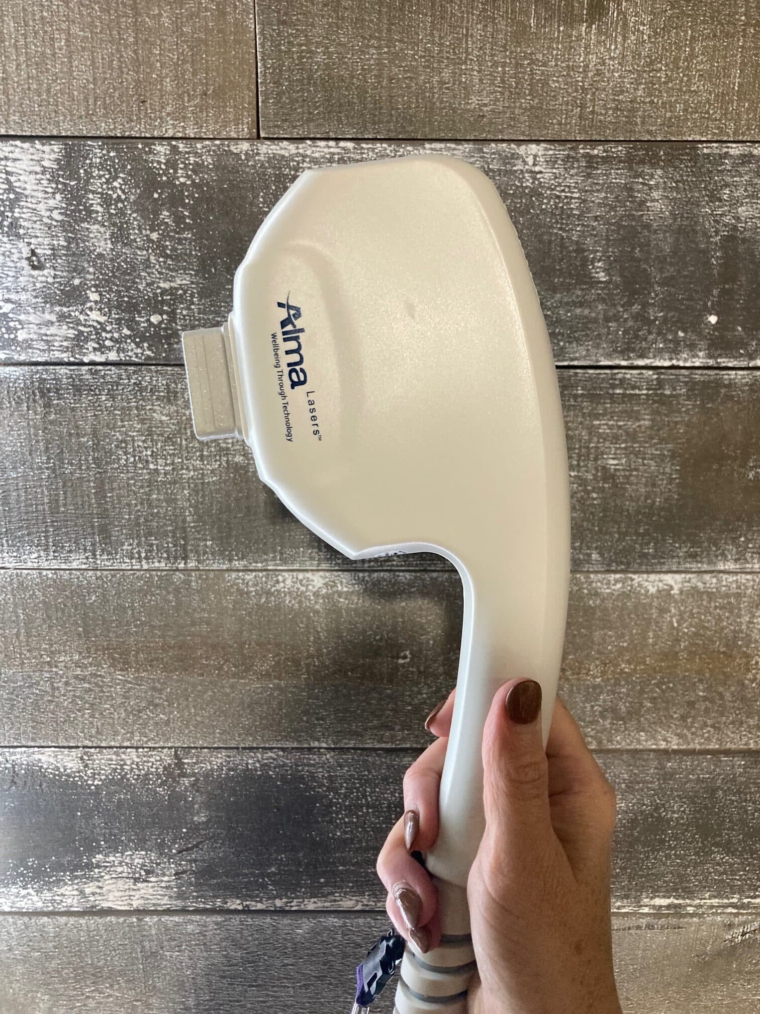 2021 Alma Harmony XL Pro - image 10